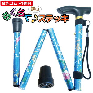 yS1tzYwXPA Z 炭炭XebL ԕ ܂肽  y XebL  s⏕ nr A~XebL jp ԕu[