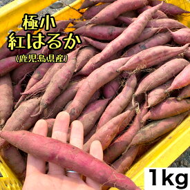 【鹿児島県産】紅はるか 1kg 極小サイズ お菓子作りに レシピ付き さつまいも 訳あり 1000円ポッキリ お買い物マラソン お買い回り