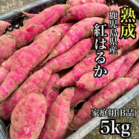 焼き芋屋さんが送る【熟成】本場の鹿児島県産 紅はるか 選べる【2kg・5kg・10kg・20kg】さつまいも 訳あり