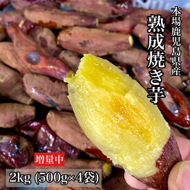 ＼4月18日まで！300円OFFクーポン／鹿児島県産 熟成さつまいも 焼き芋 【小さめのお芋がたっぷり】無添加 蜜芋 さつまいも 干し芋 好きに 訳あり 美味しい クール便