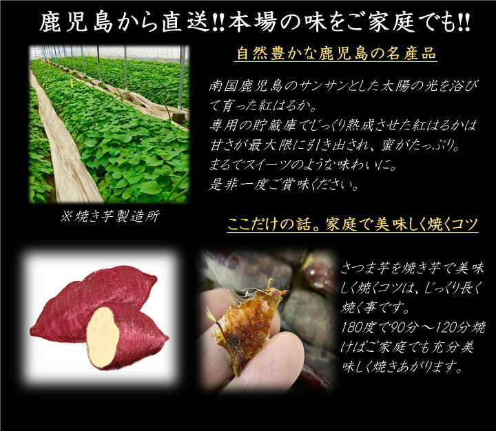 楽天市場】【今期新物】紅まさり 選べる【3kg・5kg・10kg 