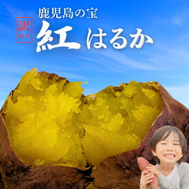 ＼ランキング1位獲得／ 【10％OFFクーポン 】焼き芋屋さんが送る◎ さつまいも 本場の鹿児島県産 紅はるか 選べる【2kg・5kg・10kg・20kg】さつまいも 訳あり さつま芋 サツマイモ 薩摩芋 甘薯