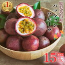 ＼ランキング1位獲得／ 【ポイント10倍18日まで！】鹿児島県産 家庭用 15玉 【爽やかな酸味と芳醇な香り】 パッション…