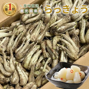 らっきょう 5kg」の人気商品一覧・価格比較 - 価格.com