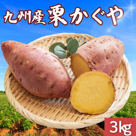 ＼ランキング1位獲得／ 【10％OFFクーポン】栗かぐや 選べる【3kg・5kg・10kg】 訳あり さつまいも 鳴門金時好きに