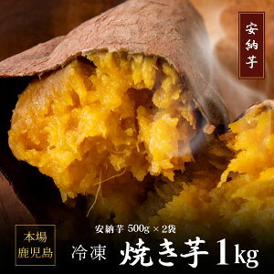 ZIY n [ Ⓚ Ă yIׂ鐔ʁzY ] y10{菇z