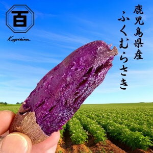 _^Y  ӂނ炳 ܂ Iׂy2kg/5kg/10kg/20kgz ܈ Tc}C F Ï