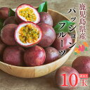 10％OFF＼先行販売クーポン／ 【ランキング1位獲得】 鹿児島県産 家庭用 10玉～【爽やかな酸味と芳醇な香り】 パッシ…