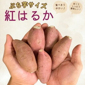 【スーパーSALE限定★10%OFFクーポン】ぷち芋サイズ \ランキング1位獲得/ 焼き芋屋さんが送る◎ さつまいも 紅はるか 選べる【2kg・5kg・10kg・20kg】さつまいも 訳あり さつま芋 サツマイモ 薩摩芋 甘薯