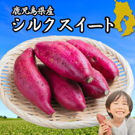 2026年新物 【ポイント10倍★最大890円還元】 シルクスイート ＼ランキング1位獲得／ さつまいも 選べる…