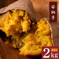 【2026年新物】＼早得！25％OFFクーポン☆最大1,170円OFF／ 鹿児島県産 安納芋 さつまいも 訳あり 【9月…