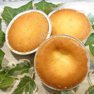 powells `[Y ^g pEEF 3 |Cg ƒp [  VH {  َq Ăَq XC[c