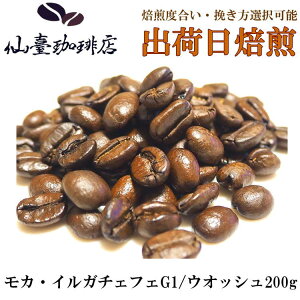 i X JECK`FtFG1/EIbV 200g R[q[ Mtg  XyVeB  o coffee  ̓ ̓ 蕨@@Ε