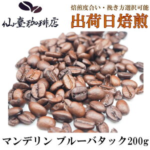 i X }f u[o^bN 200g R[q[ Mtg  XyVeB  o coffee  ̓ ̓ 蕨@@Ε