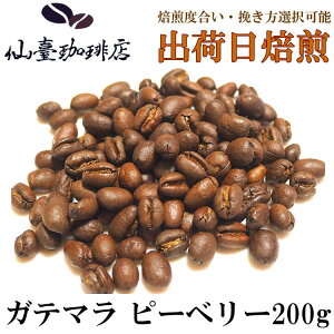 i X Ke} s[x[ 200g R[q[ Mtg  XyVeB  OAe} o coffee  ̓ ̓ 蕨  Ε  ƒ