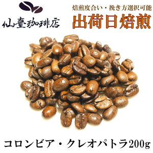 i X RrAENIpg 200g R[q[ Mtg  XyVeB  o coffee  ̓ ̓ 蕨  Ε  ƒ