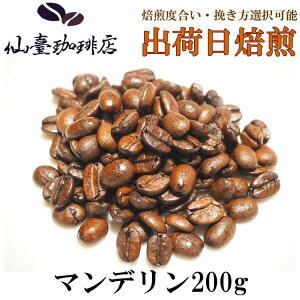 i X }fG1 200g R[q[ Mtg  XyVeB  o coffee  ̓ ̓ 蕨  Ε  ƒ