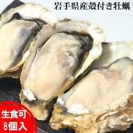 岩手県産 生食用 特大 殻付き牡蠣 カキ 殻つき 冷凍 東北 大型 Lサイズ ノロウイルス 検査済み お祝い プ…