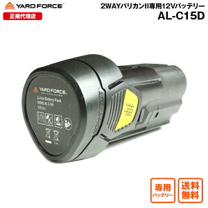 y|Cg10{zYARDFORCE [htH[X 2WAYoJII p12Vobe[  _̙ R[hX g}[ nfB |[p ti