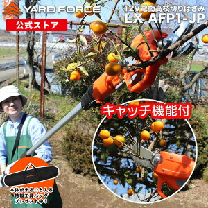 �yP10�{ ���Ԍ���œ����H��o�b�O�v���[���g���z ���}�؂�o�T�~ ����o�T�~ 2way12V�R�[�h���X�d�����}�؂�o�T�~�n���f�B �[�d�� �R�[�h���X YARDFORCE ���[�h�t�H�[�X LX-AFP1-JP �ۏ؍ő�1�N6