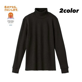 グンゼ ファイヤーアセドロン ハイネック 長袖 レディース 秋冬 あったかインナー 汗冷え防止 吸湿性 通気性 ムレ 肌離れ 女性 婦人 下着 肌着 発熱 インナー 暖かい 極厚 厚手 汗対策 楽 寒暖差 シンプル 定番 GUNZE MH1045 M-LL