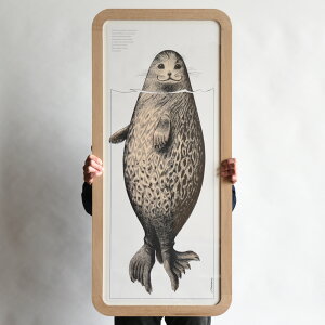 y󒍐Yiz͂܂łɖ1 kAUV |X^[ t[ Ȃ EH[ibg \[vtBjbV ICdグ CeA AeB[N Be[W _ i` V