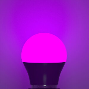 �y200�~OFF�N�[�|���z�z���zORALUCE LED�d�� �J���[�d�� E26���� 40W���� �y2�N�ۏ� 6���z 220�x�L�z�� �ԐF�A�ΐF�A���F�A�s���N�F�A���F�A�� �����d�� �����Ή� �����s�� ���^�d�� PSE�F�� 