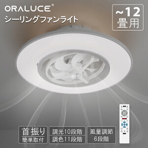 y6000~OFFN[|z ORALUCE V[Ot@Cg U 12 y2025Năf 4500lm É F ԐڏƖz t]@ ċz[h 铔[h t@tƖ aArOA