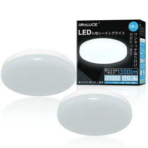 y100~E300~OFFN[|z ORALUCE V[OCg ^ 1300lm F F dF 1 2 ȃGl   LEDCg tȒP L  gC rO Lb` N[