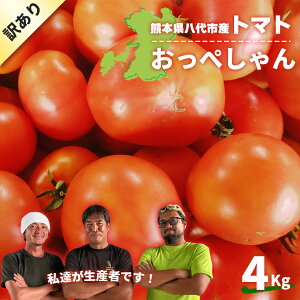 y\̔11{菇_ƒ󂠂g}gz g}g   KiO  A g}g 󂠂 F{  킯 P Hi ̔ _ƒ  ₳