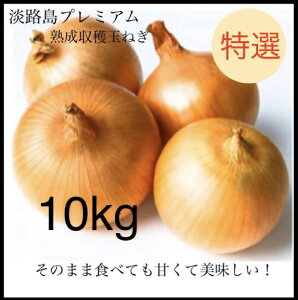 yGizɌWHYv~A܂˂10Kg@2LTCY@@WHY@uh؁@ۑ^j^hV̓^j^䒆^Ε^^i^Mtg^v[g