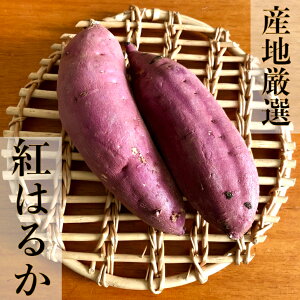 S 錧YortY ܂ ͂邩ɒ܈ g͂邩5kg MTCY  󂠂ił͂܂  ˂Ƃ  ܂Ƃߔ Ɩp Y Tc}C  
