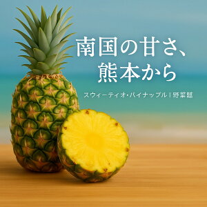 y|Cg3{zyztBsY XEB[eBI pCibv n ÂăW[V[ F{ ؊ْ 썑t[c x t[cMtg