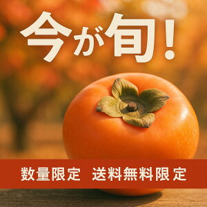 y|Cg3{IIzyzF{̎RĂÂ`Yn {̕iAxXgȐH׍ŏoׂ܂B