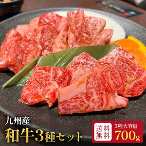 yz Ya3Hה׃Zbg F{Y v700g Jr [X ؂藎Ƃ Y Ⓚ Mtg ґ e nEB BBQ o[xL[ ē  Oa ƒp S