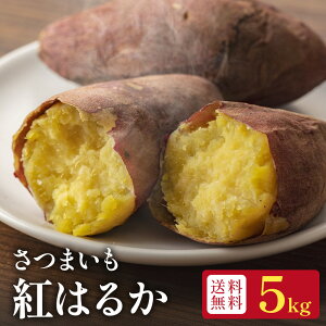 yzF{Y g͂邩 ܂@5kg@˂ƂÁ`ĂEXC[cɍœKYnESi