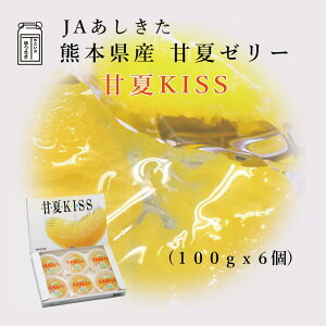 JA ÉKISS i100g 6jF{YÉĂ݂gpyϔzF{YÉĂ݂[[yz݂ ܂Ȃ fU[g  XC[c 蕨 Mtg  Ε 