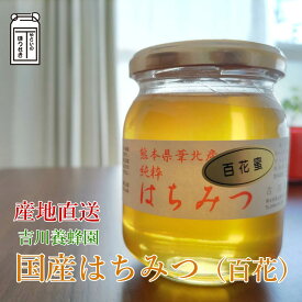 産地直送 国産天然生はちみつ（百花） 300g x 2個セット 600g x 2個セット 無添加はちみつハチミツ 黄金蜂蜜 熊本県 オーガニック 無農薬 高級スイーツデザート おやつ ギフト 高級スイーツ贈り物 お中元 お歳暮 お礼 お祝い