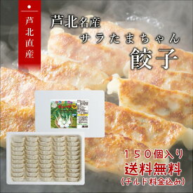カリもちっ餃子 150個【送料無料チルド代込み】熊本県産サラたまちゃん入りギョーザ 熊本県芦北町でしか作られていない唯一無二の高級餃子