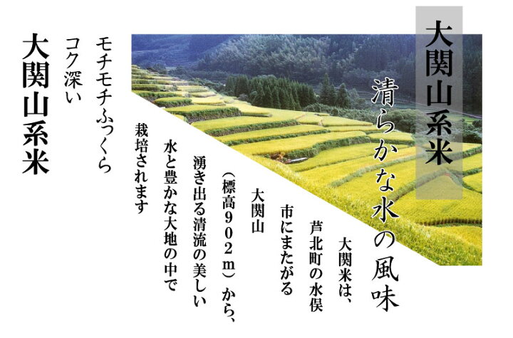 楽天市場】令和6年産 新米 米 白米 秘境米 5kg 10kg 15kg 20kg熊本県  