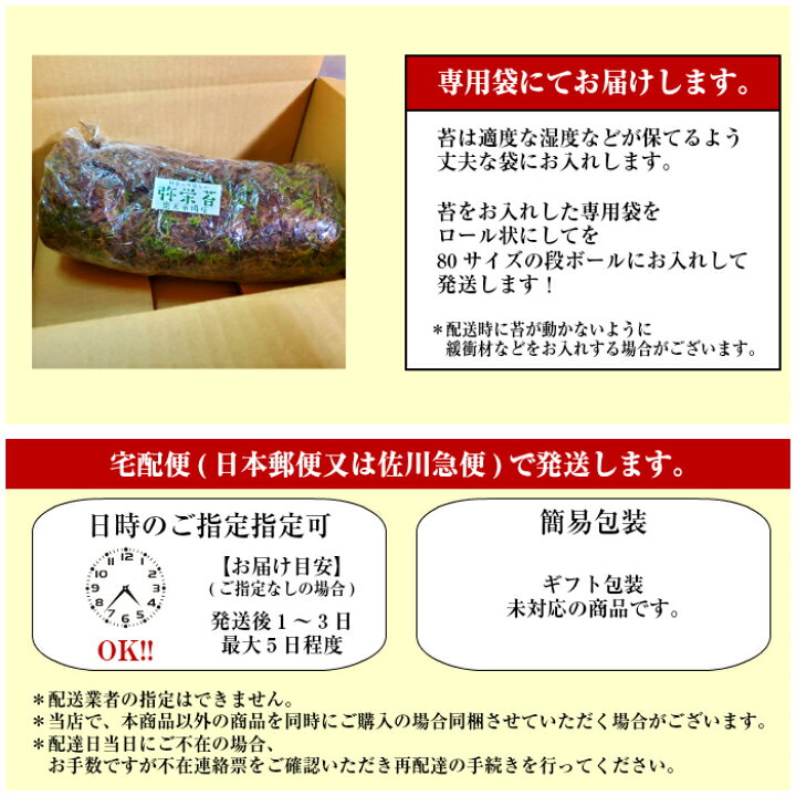 楽天市場】苔 苔玉 観葉植物 テラリウム 【天然ハイゴケトレー1枚分(約 