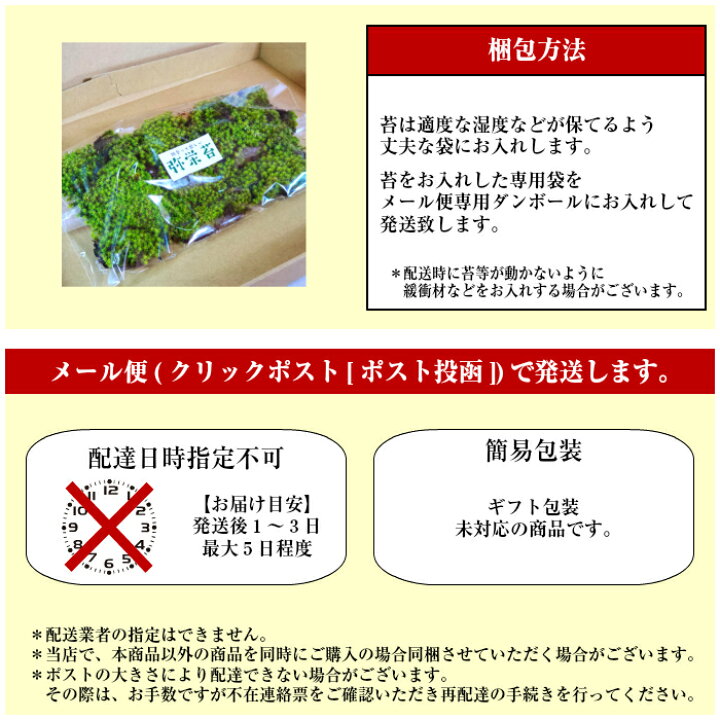 楽天市場】苔 テラリウム 苔テラリウム 【 天然 スナゴケ 】 : 弥栄苔 