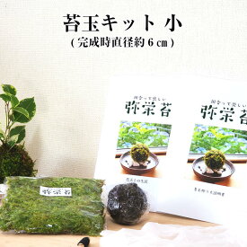 送料無料 苔 苔玉 【 苔玉キット 小 】