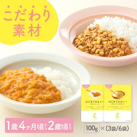 100g×(3袋/6袋) レトルトカレー カレーレトルト はじめてのカレー（野菜とひよこ豆/豚肉と白ネギの和風仕立て 小麦粉不使用 国産野菜 有機スパイス カレーデビュー 辛くない 甘口 幼児食 こども用カレー 子供向け 非常食 保存食【1歳4ヶ月頃～2歳0ヶ月頃まで】