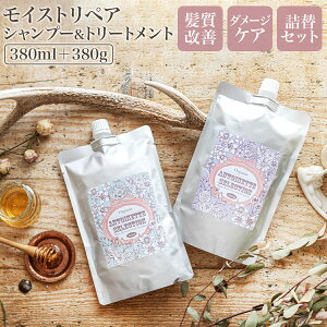 Sa炮n`~c̍@AglbgZNV CXgyA Vv[Eg[gg ߂Zbg 380ml {380g ݂͂ nj[ wAPA _[WPA pT S