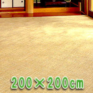 ٖ{D ҂݃J[ybg 200×200cm [J[i ^J[ybg ^ J[ybg ~ ق̃O ك}bg كJ[ybg كO ٕ~ ^O قނ ِ