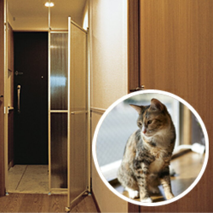 楽天市場 猫 脱走防止パーティション キャキャ Catcatch ネコ ねこ 猫 脱走 防止 脱走防止 とびら 扉 フェンス パーテーション 猫 ドア 飛び出し事故防止 突っ張り 柵 玄関 賃貸 ゲート ケージ 脱出防止 キッチン 逃走防止 窓 開閉 やさしさｏｎ ｌｉｎｅ
