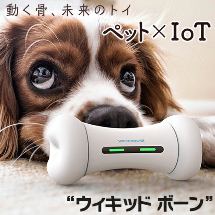 楽天市場 ペット おもちゃ ウィキッドボーン 犬 猫 留守番 Wicked Bone 動く おもちゃ ペット 遊ぶ プレゼント 自動 運動 電動 ラジコン スマートフォン スマホ アプリ スマホ操作 Bluetooth 玩具 追いかける 逃げる 犬のおもちゃ 愛犬 愛猫 犬用 猫用 Pet 楽天市場 ペット おもちゃ ウィキッドボーン 犬 猫 留守番 Wicked Bone 動く おもちゃ ペット 遊ぶ プレゼント 自動 運動 電動 ラジコン スマートフォン スマホ アプリ スマホ操作 Bluetooth 玩具 追いかける 逃げる 犬のおもちゃ 愛犬 愛猫 犬用 猫用 Pet