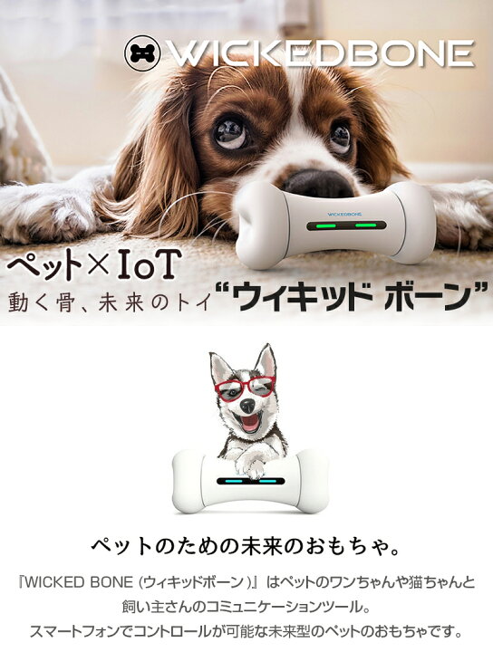 楽天市場 ペット おもちゃ ウィキッドボーン 犬 猫 留守番 Wicked Bone 動く おもちゃ ペット 遊ぶ プレゼント 自動 運動 電動 ラジコン スマートフォン スマホ アプリ スマホ操作 Bluetooth 玩具 追いかける 逃げる 犬のおもちゃ 愛犬 愛猫 犬用 猫用 Pet