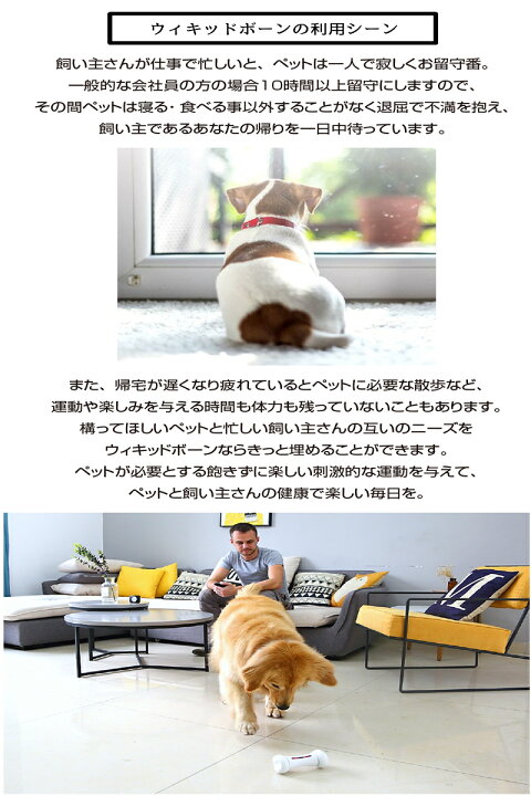 楽天市場 ペット おもちゃ ウィキッドボーン 犬 猫 留守番 Wicked Bone 動く おもちゃ ペット 遊ぶ プレゼント 自動 運動 電動 ラジコン スマートフォン スマホ アプリ スマホ操作 Bluetooth 玩具 追いかける 逃げる 犬のおもちゃ 愛犬 愛猫 犬用 猫用 Pet